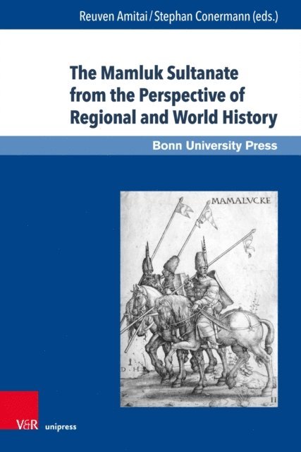 Stephan Conermann, Reuven Amitai - Mamluk Sultanate from the Perspective of Regional and World History, E-bok