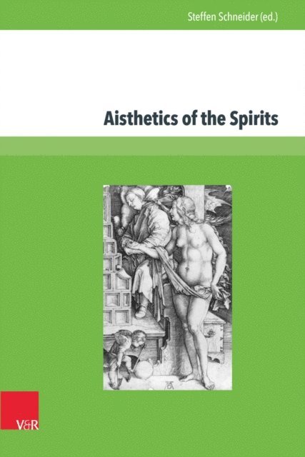 Steffen Schneider - Aisthetics of the Spirits, E-bok