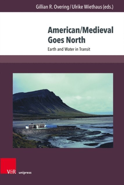 Ulrike Wiethaus, Gillian R. Overing - American/Medieval Goes North, E-bok