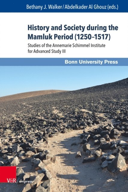 Abdelkader Al Ghouz, Bethany J. Walker - History and Society during the Mamluk Period (1250-1517), E-bok