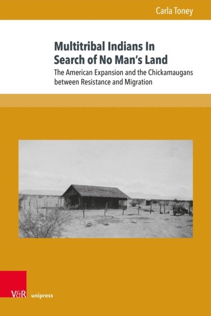 Carla Toney - Multitribal Indians In Search of No Man's Land, E-bok