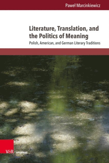 Pawel Marcinkiewicz - Literature, Translation, and the Politics of Meaning, E-bok