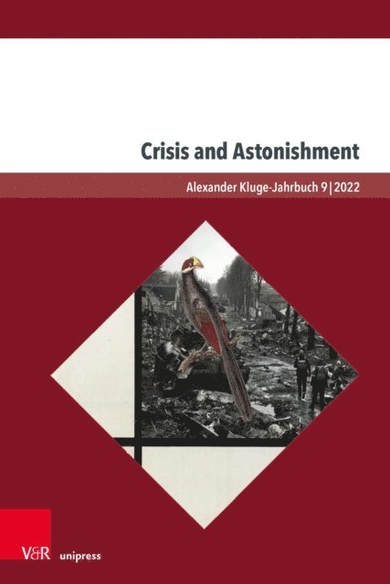 Irina Simova, Richard Langston - Crisis and Astonishment, E-bok