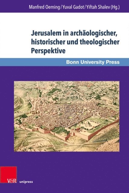 Yiftah Shalev, Yuval Gadot, Manfred Oeming - Jerusalem in archäologischer, historischer und theologischer Perspektive, E-bok