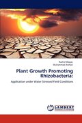 Plant Growth Promoting Rhizobacteria