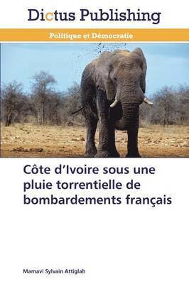 Côte d ivoire sous une pluie torrentielle de bombardements français