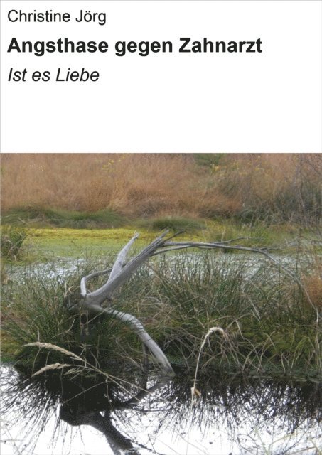 Christine Jorg - Angsthase gegen Zahnarzt, E-bok. Tillgänglighet: Lägg i varukorg