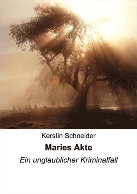 Kerstin Schneider - Maries Akte, E-bok