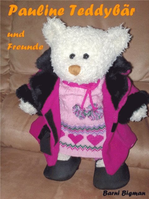 Barni Bigman - Pauline Teddybär und Freunde, E-bok