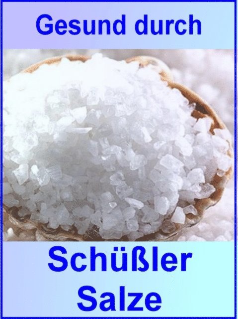Anne Graves - Gesund durch Schüßler Salze, E-bok