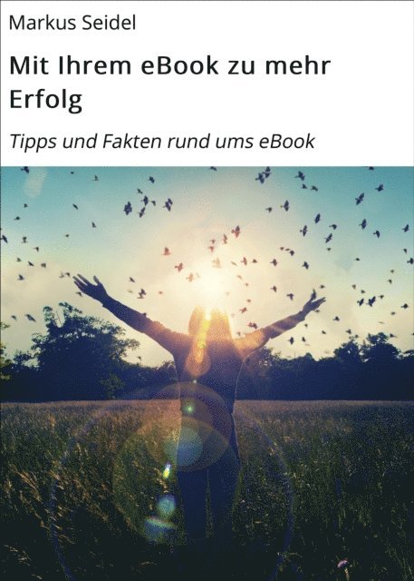 Markus Seidel - Mit Ihrem eBook zu mehr Erfolg, E-bok