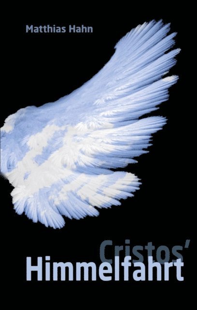 Matthias Hahn - Cristos' Himmelfahrt, E-bok