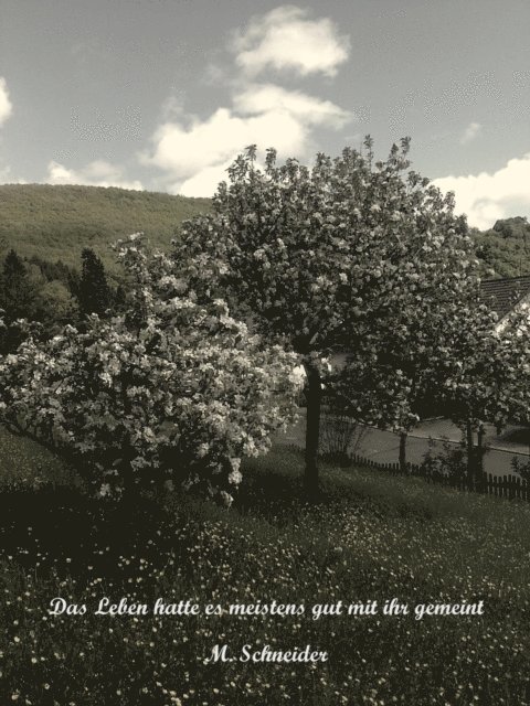 M. Schneider - Das Leben hatte es meistens gut mit ihr gemeint, E-bok