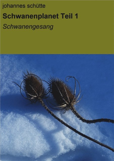 Johannes Schutte - Schwanenplanet, E-bok