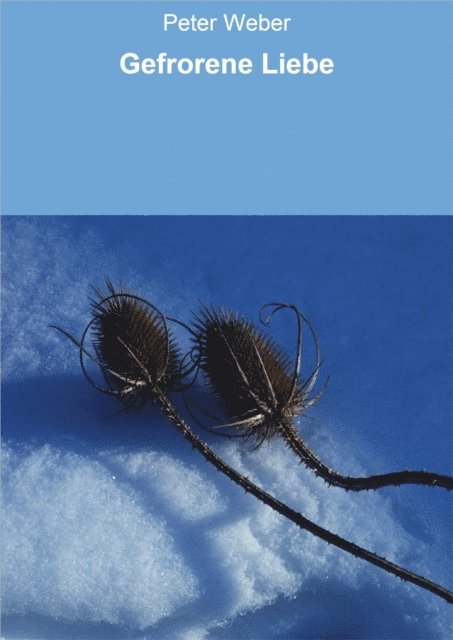 Peter Weber - Gefrorene Liebe, E-bok