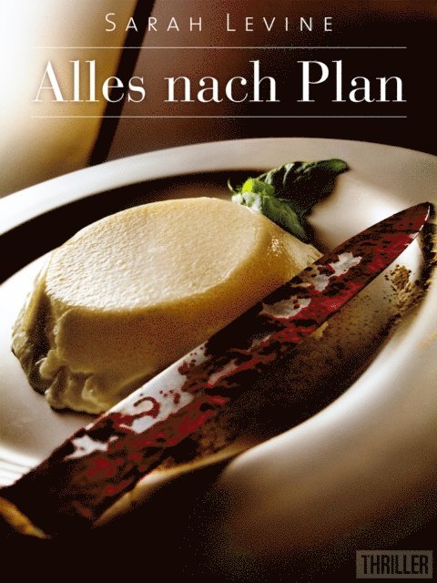 Sarah Levine - Alles nach Plan, E-bok