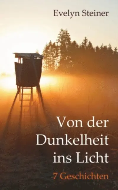Evelyn Steiner - Von der Dunkelheit ins Licht, E-bok. Tillgänglighet: Lägg i varukorg