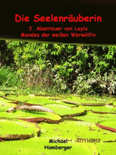 Michael Hamberger - Die Seelenräuberin, E-bok. Tillgänglighet: Lägg i varukorg