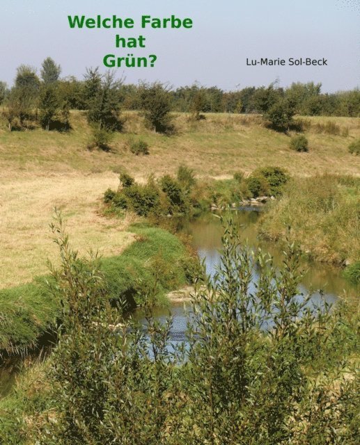 Lu-Marie Sol-Beck - Welche Farbe hat Grün?, E-bok. Tillgänglighet: Lägg i varukorg