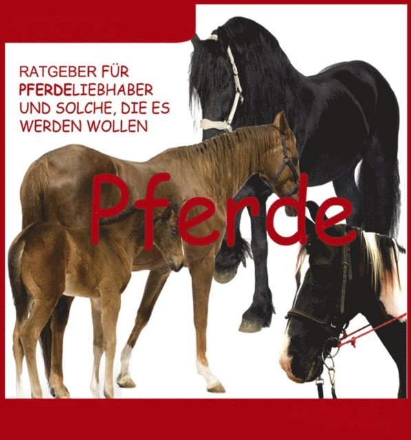 Thomas Meinen - Wissenswertes über Pferde, E-bok