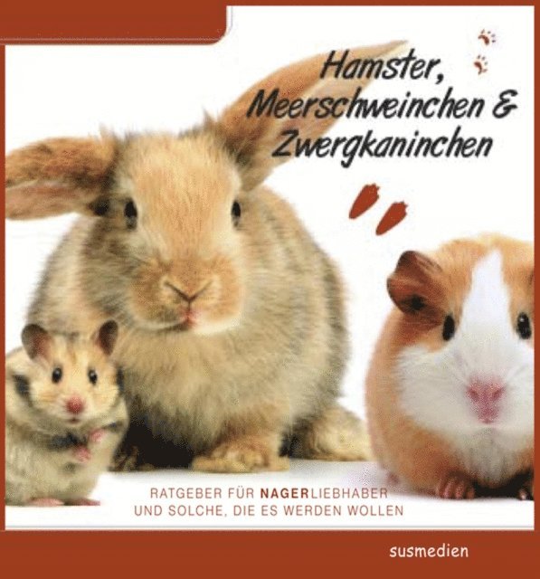 Thomas Meinen - Ratgeber für Nagerliebhaber, E-bok