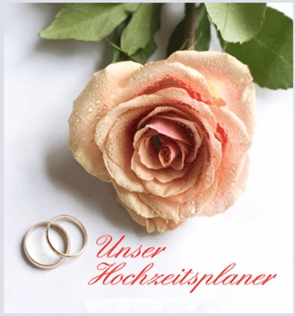 Thomas Meinen - Unser Hochzeitsplaner, E-bok