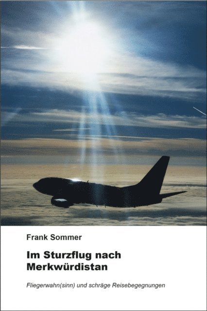 Frank Sommer - Im Sturzflug nach Merkwürdistan, E-bok