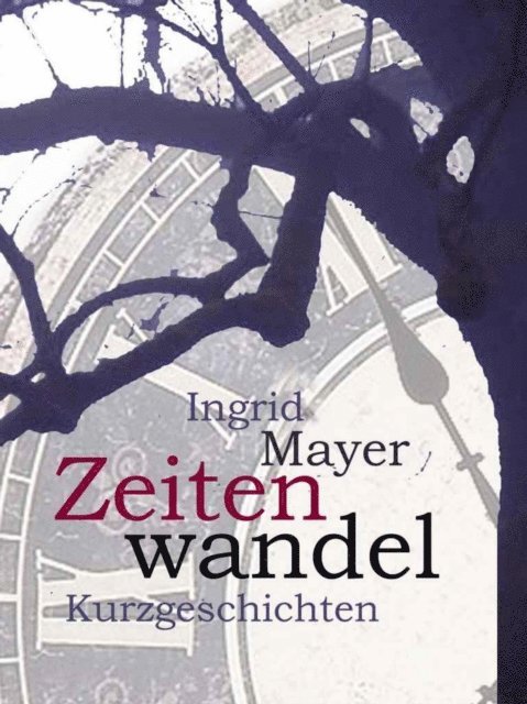 Ingrid Mayer - Zeitenwandel, E-bok