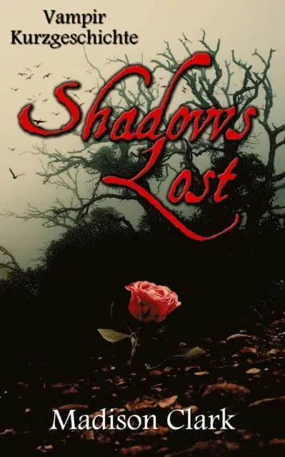 Madison Clark - Shadows Lost, E-bok. Tillgänglighet: Lägg i varukorg