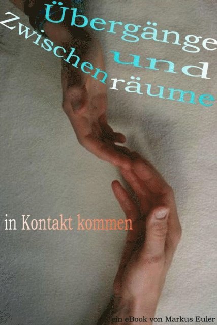 Markus Euler - Übergänge und Zwischenräume, E-bok