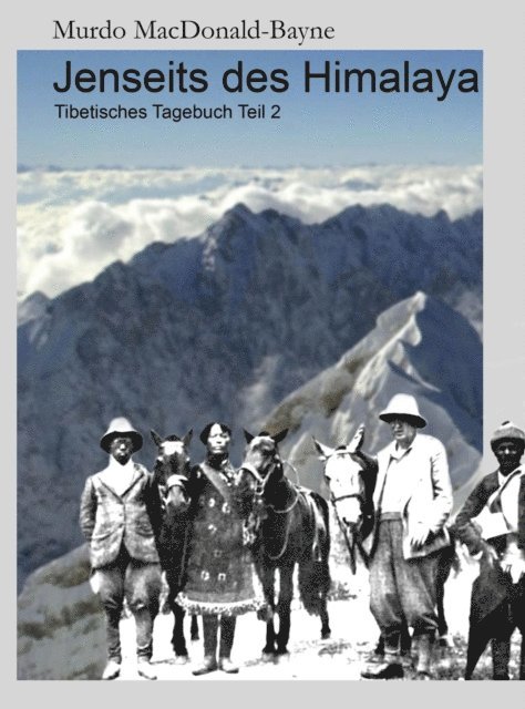 Murdo MacDonald-Bayne - Jenseits des Himalaya, E-bok