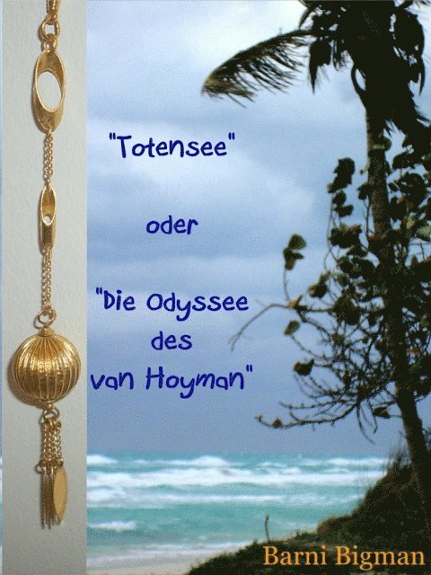 Barni Bigman - Totensee oder Die Odyssee des van Hoyman, E-bok