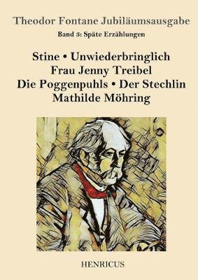Theodor Fontane - Späte Erzählungen, Häftad
