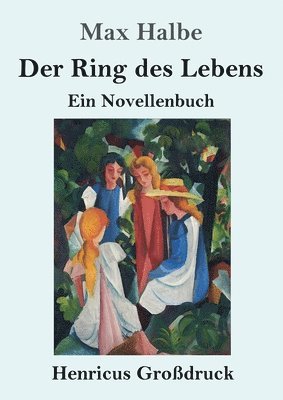 Max Halbe - Ring des Lebens (Großdruck), Häftad