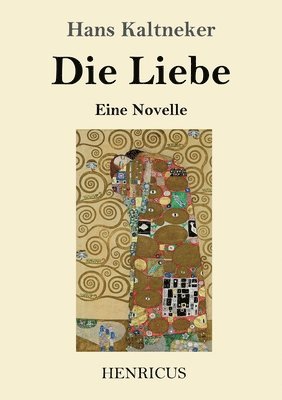 Hans Kaltneker - Liebe, Häftad