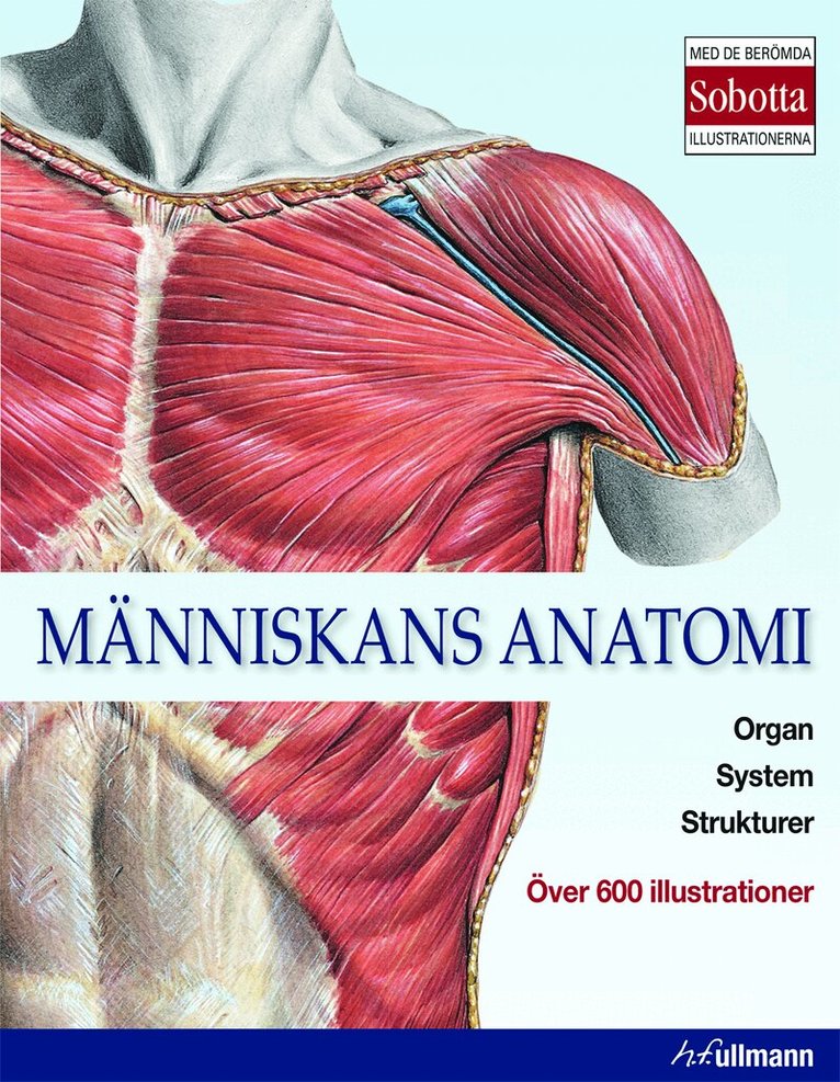 Människans anatomi, Inbunden