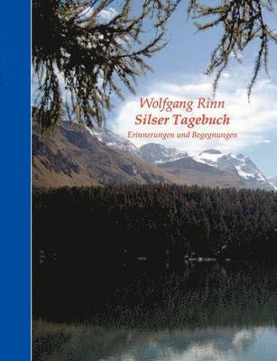 Wolfgang Rinn - Silser Tagebuch, Häftad