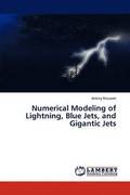 Numerical Modeling of Lightning, Blue Jets, and Gigantic Jets