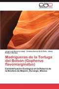 Madrigueras de La Tortuga del Bolson (Gopherus Flavomarginatus)