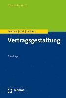Lutz Aderhold, Raphael Koch - Vertragsgestaltung, Häftad