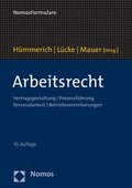 Arbeitsrecht: Vertragsgestaltung / Prozessfuhrung / Personalarbeit / Betriebsvereinbarungen