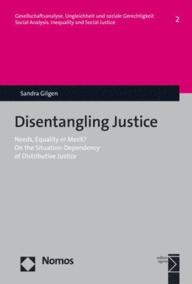 Sandra Gilgen - Disentangling Justice, Häftad