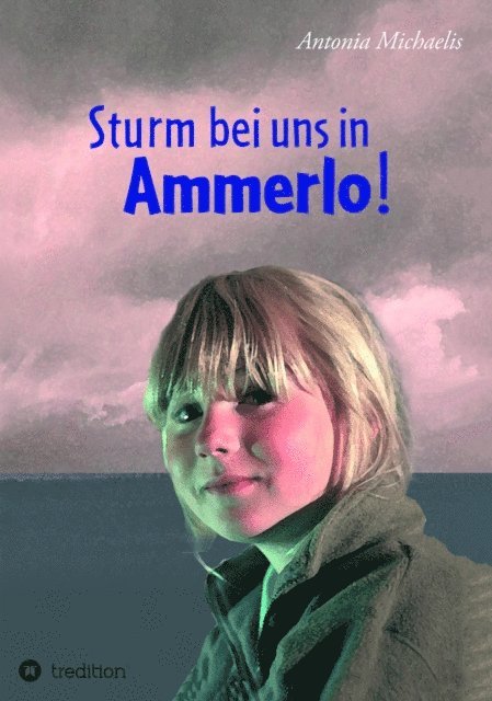 Antonia Michaelis - Sturm bei uns in Ammerlo!, E-bok