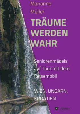 Marianne Muller - Traume Werden Wahr, Häftad