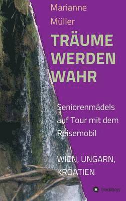 Marianne Muller - Traume Werden Wahr, Inbunden