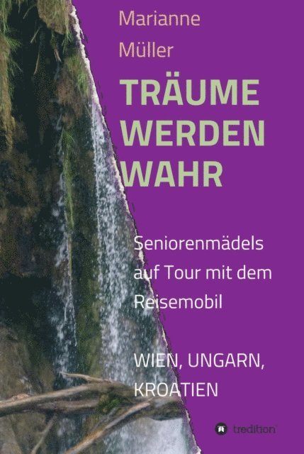 Marianne Muller - Träume werden wahr, E-bok