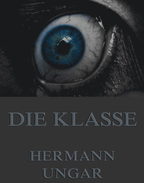 Hermann Ungar - Die Klasse, E-bok