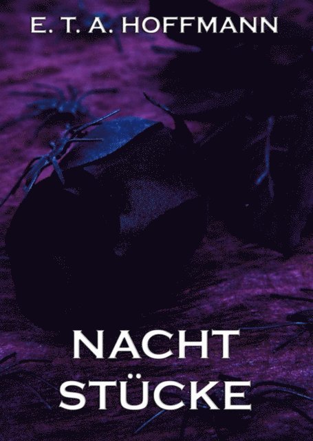E.T.A. Hoffmann - Nachtstücke, E-bok