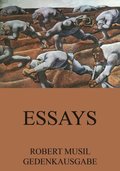Essays