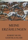 Meine Erzÿhlungen